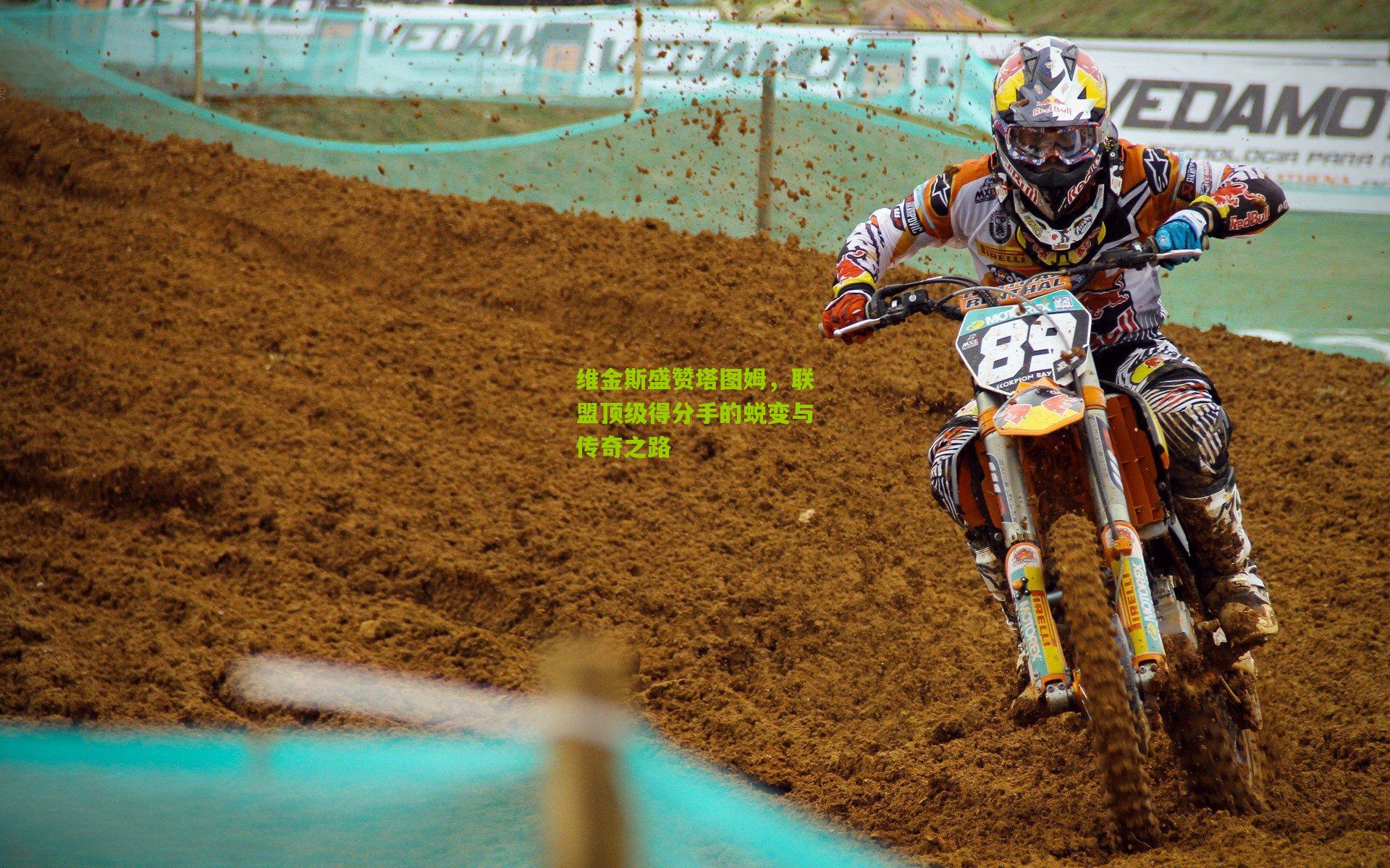 维金斯盛赞塔图姆,联盟顶级得分手的蜕变与传奇之路